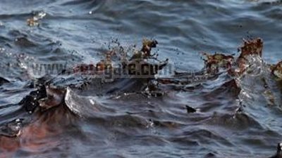 تجاهل المسئولين لأسباب تسرب الزيت الملوث