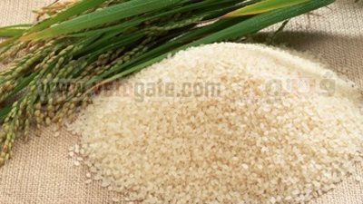 أبحاث طبية: 