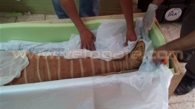 بالصور.. نقل 95 قطعة أثرية من متحف آثار بني سويف إلى المتحف الكبير