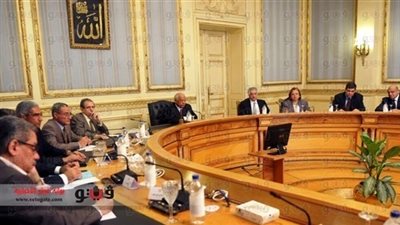 الدسوقي: ضم الصناديق الخاصة يصلح بديلا عن المعونات العربية