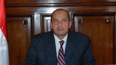 خطة عاجلة بالزراعة للقضاء على سوسة النخيل الحمراء وتوفير المبيدات