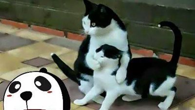 ساخرون.. لما أخوك يكون ماسك عليك ذلة