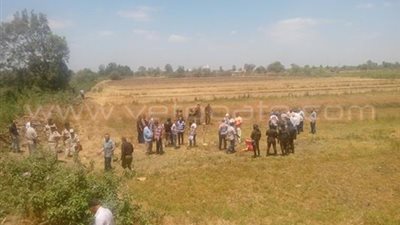 بالصور.. «التموين» تتسلم 50 فدانا على طريق «رافد - جمصة» الدولي