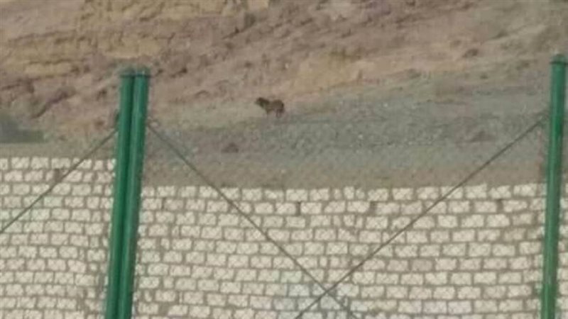 محافظة أسيوط تكشف