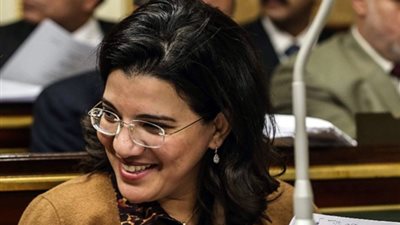 رئيسة «اتصالات النواب» تمنع الصحفيين من حضور لقاء وزير التخطيط