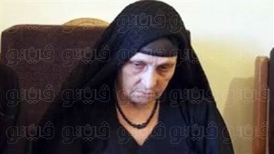 تأجيل محاكمة 3 متهمين في قضية الاعتداء على سيدة الكرم لأول يناير