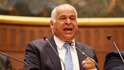 فرج عامر: القضية الفلسطينية في قلب مصر قيادة وحكومة وشعبا