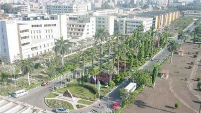 القضاء يلزم رئيس جامعة المنصورة بمحو جزاء أستاذ بكلية الآداب