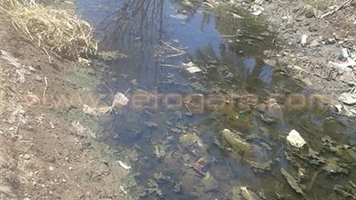 بالصور.. انقطاع مياه الري يهدد الأراضي الزراعية بالبوار في المنيا