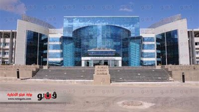 السعيد: التشكيل الاستشارى لجامعة النيل يضم 