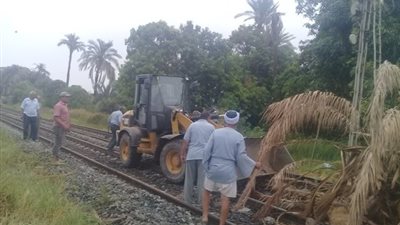 عودة حركة القطارات بعد سقوط نخيل على شريط سكة الحديد في سوهاج
