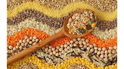 12 جنيهًا لكيلو الفول بجنوب سيناء.. اليوم