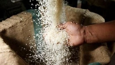 التجار يشعلون أسعار الأرز بالدقهلية.. الفلاحون: «بنخزنه لبيعه للتجار بسعر أعلى وبيعه للمضارب بيخسرنا».. تاجر:«نشتري الطن بـ3500 جنيه من المزارعين وبيعه بـ5000 جنيه.. وتجار المحال يتحكمو