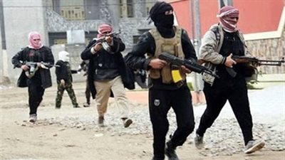 أنباء عن ظهور «بوكو حرام الفيوم».. المعلومات الأولية: تتكون من مجموعة لا يجيدون القراءة والكتابة.. مصدر أمني: جار التأكد من صحة المعلومات.. و«أمن الفيوم»: المحافظة خالية من التكفير