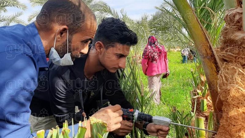 عملية التدريب على