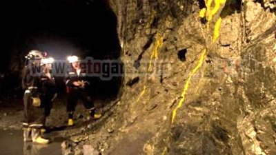 منجم السكرى يطلب تصدير 1656 كيلو ذهب.. سرًا