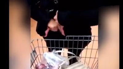 بالفيديو.. امرأة تسرق 34 سلعة من سوبر ماركت بطريقة صادمة