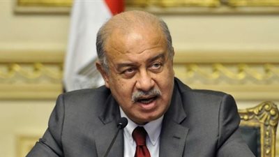 الحكومة: تخصيص 85 مليار جنيه من الموازنة العامة للإجراءات الحمائية