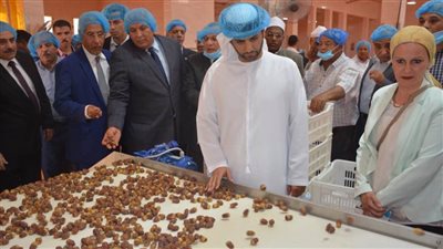 مجمع تمور الوادي الجديد يحصل على شهادة FSSC 22000 لسلامة الغذاء 