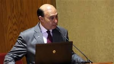 مميش: السفن العابرة من «رأس الرجاء» تمثل 0.6% من حركة القناة