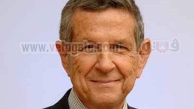 شاكر: اهتمام سويسري رسمي بـ«الدستور» المصري