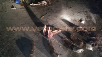 بالصور.. العثور على حصان مذبوح بالعصافرة