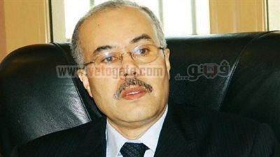 الخارجية: نتوقع تصويت 65% من المصريين فى الخارج