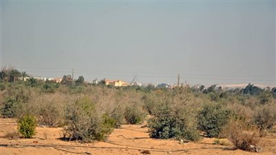 أبرز قرارات «الوقائع المصرية» اليوم