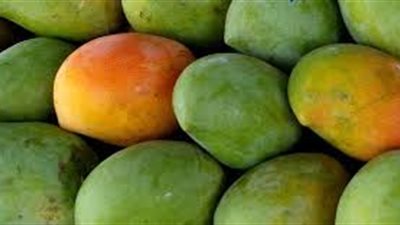 المانجو والبطيخ والأناناس «أعداء» الرجيم