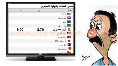 سعر الأرز المصري بشركات الصرافة في كاريكاتير «فيتو»