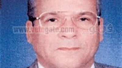 الشيمي: مصر تمتلك بدائل قرض صندوق النقد