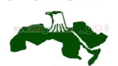 قيادي ناصري: الإخوان أسسوا 