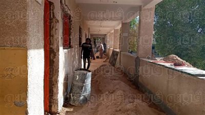 ظهور النمل الأبيض بمدرسة المروة الابتدائية بالخارجة