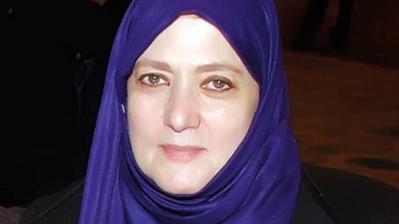 الفنانة شمس البارودي