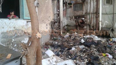 بورسعيدية: الفئران تشاركنا السكن ومياه الصرف جلبت لنا الأمراض