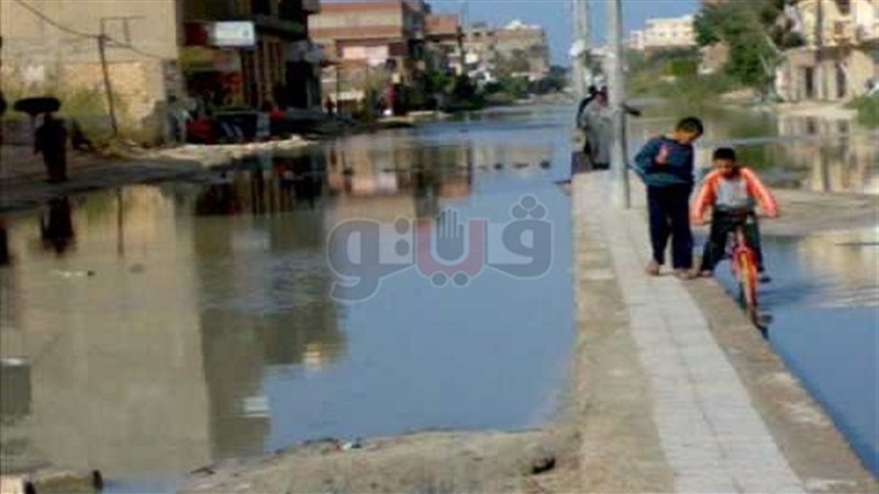 فيتو