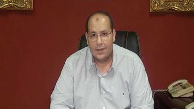 رئيس اتحاد السباحة: نتمنى تحقيق ميدالية أوليمبية بـ«ريو دي جانيرو»