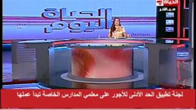 بالفيديو.. هاني كمال: لجنة لتطبيق الحد الأدنى للأجور بالمدارس الخاصة