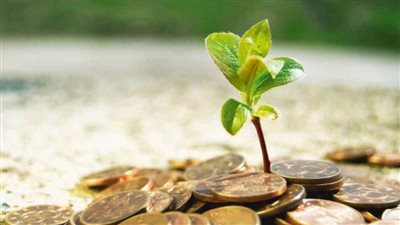 أحكام الزروع في الإسلام.. وقتها ومقدارها