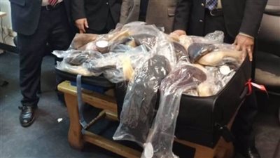 إحباط تهريب 32 كيلو شعر طبيعى مستعار بمطار القاهرة
