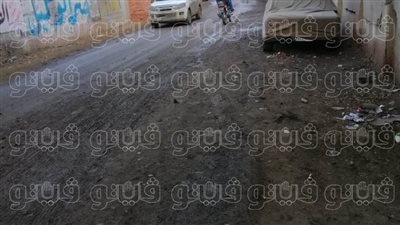 سقوط أمطار متوسطة على القليوبية.. والدفع بفرق رفع التراكمات بالطرق والأنفاق