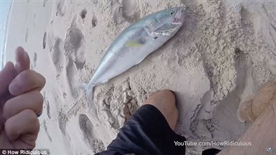 بالفيديو والصور.. رجل يصطاد سمكة سلمون ضخمة بطعم «آيفون»