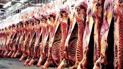 إسكندر: مافيا استيراد اللحوم تحقق أرباحا تفوق تجار المخدرات