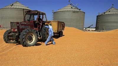 توريد 10041 طن قمح لمخازن القطاع الخاص بميناء دمياط