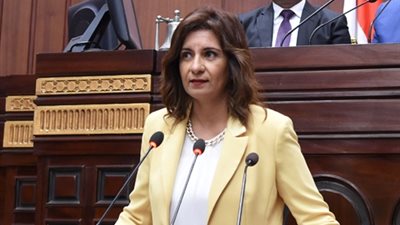 وفد المصريين بالخارج يزور مصابي عمليات القوات المسلحة