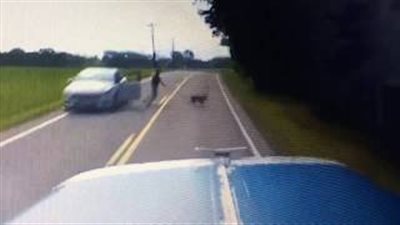 لحظة نجاة امرأة من الدهس أسفل عجلات سيارة (فيديو)