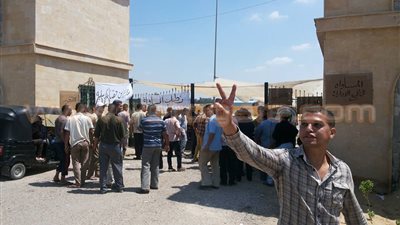 بالصور.. إضراب العاملين بشركة الوطنية للدواجن في البحيرة