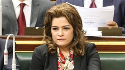 رئيس لجنة السياحة بالنواب تلتقي وزير الطيران: «ندعمكم لتخطي الأزمة»