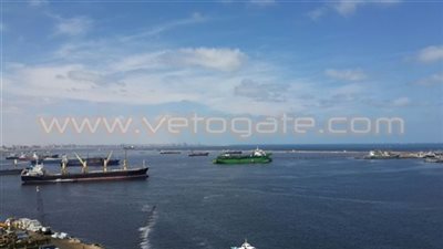 نشرة أخبار محافظات «فيتو»