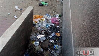 بالصور.. القمامة تحاصر محطة قطار قرية العصلوجي بالشرقية